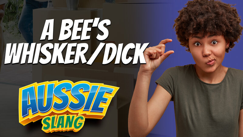 pete smissen, host of aussie english podcast, aussie slang, australian slang, a bee's whisker, a bee whisker, meaning bees whisker, what is bees whisker, bees dick, bee dick,